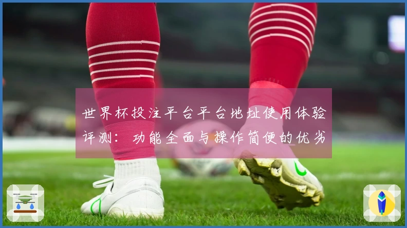 世界杯投注平台平台地址使用体验评测：功能全面与操作简便的优劣对比