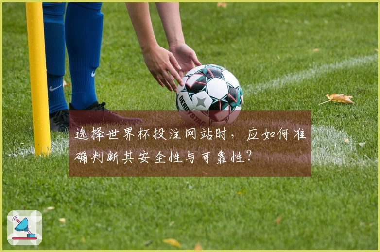 选择世界杯投注网站时，应如何准确判断其安全性与可靠性？