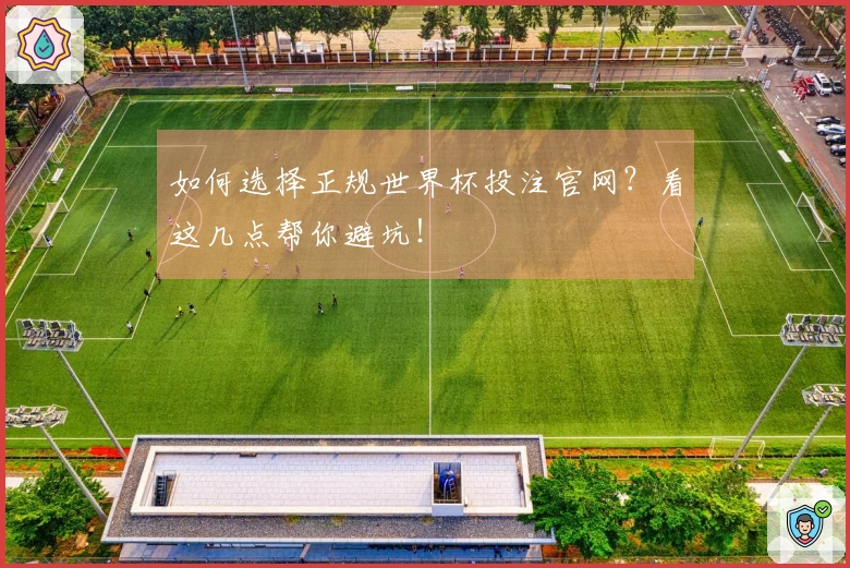 如何选择正规世界杯投注官网？看这几点帮你避坑！