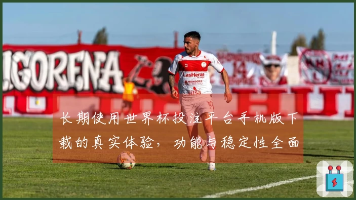长期使用世界杯投注平台手机版下载的真实体验，功能与稳定性全面评测