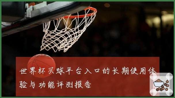 世界杯买球平台入口的长期使用体验与功能评测报告