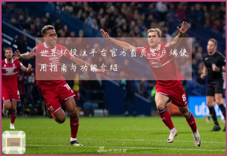 世界杯投注平台官方首页客户端使用指南与功能介绍
