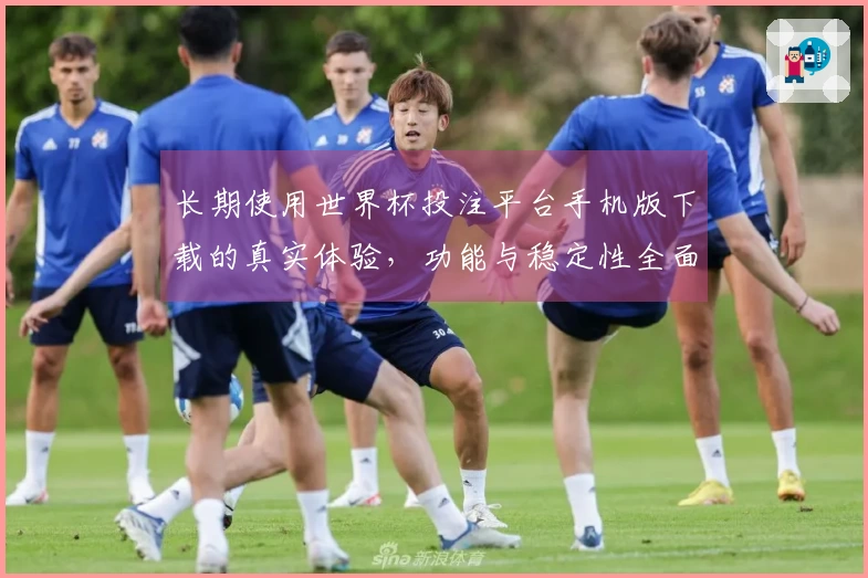长期使用世界杯投注平台手机版下载的真实体验，功能与稳定性全面评测