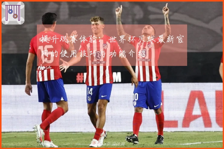 提升观赛体验：世界杯买球最新官网的使用技巧与功能介绍
