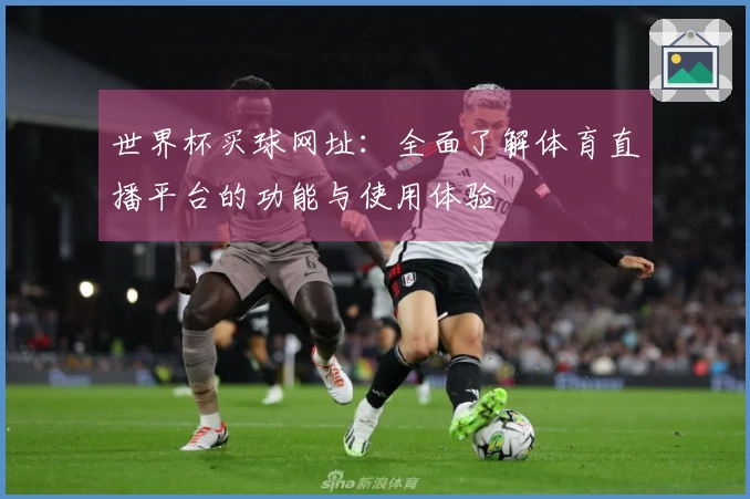 世界杯买球网址：全面了解体育直播平台的功能与使用体验