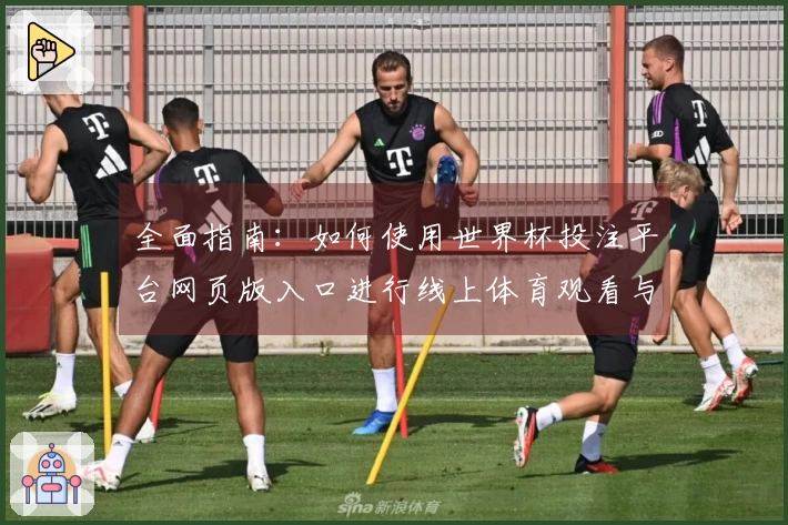 全面指南:如何使用世界杯投注平台网页版入口进行线上体育观看与互动体验