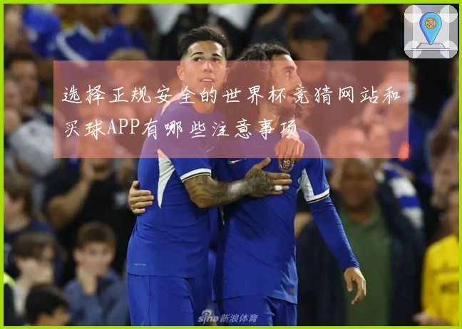 选择正规安全的世界杯竞猜网站和买球APP有哪些注意事项