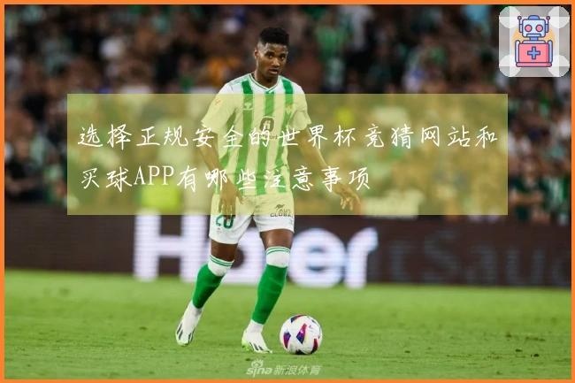 选择正规安全的世界杯竞猜网站和买球APP有哪些注意事项